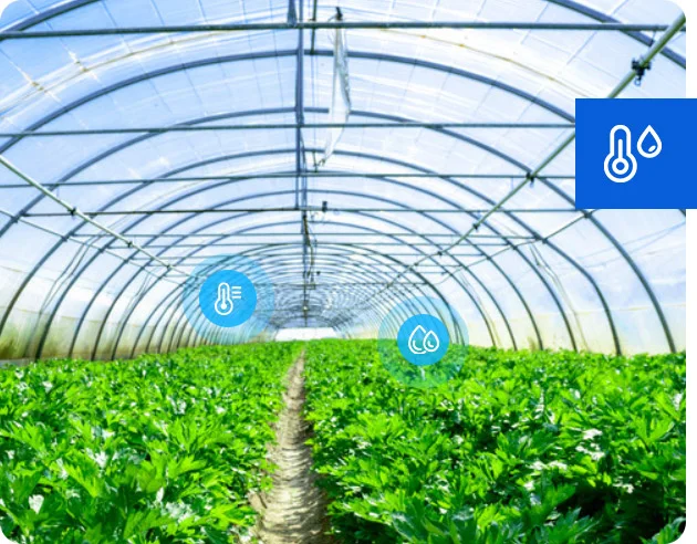 Real-Time Location System for Environmental Monitoring